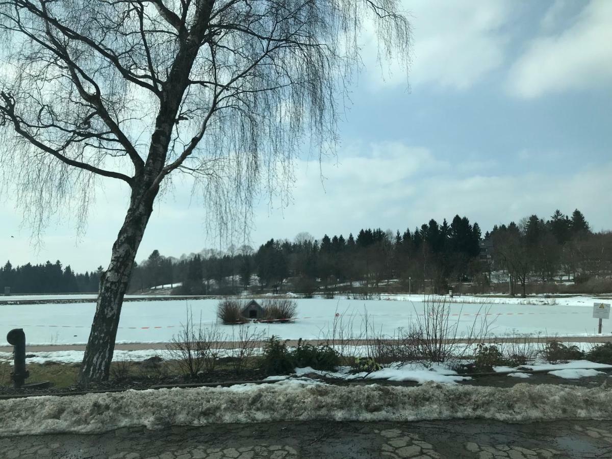 Hahnenklee Ferienpark 7-511 戈斯拉尔 外观 照片