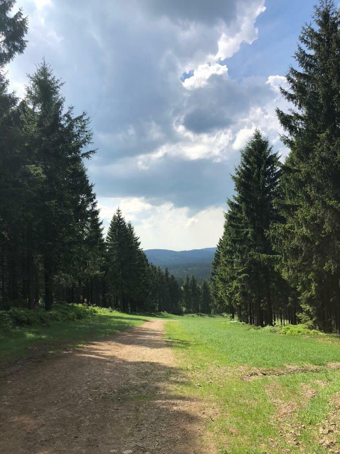 Hahnenklee Ferienpark 7-511 戈斯拉尔 外观 照片